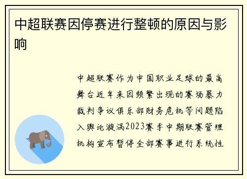 中超联赛因停赛进行整顿的原因与影响