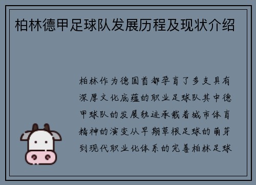 柏林德甲足球队发展历程及现状介绍